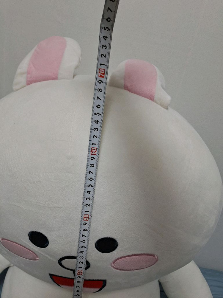 라인프렌즈 코니 대형 봉제 인형 새상품--2