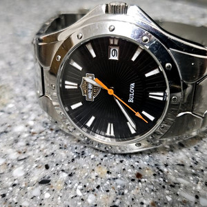 브로바할리데이비슨 이미지