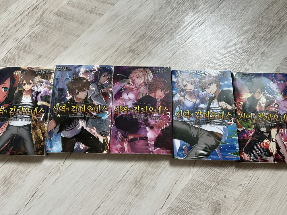 라이트노벨(라노벨) 재고 정리합니다. 게시글 보고 연락주세요(성각의 용기사,--1