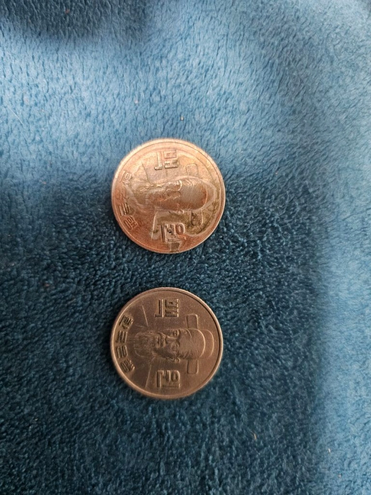 100원 동전 2개 세트 이미지