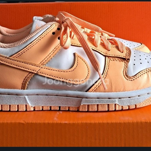 나이키 덩크로우 피치크맄 230운동화