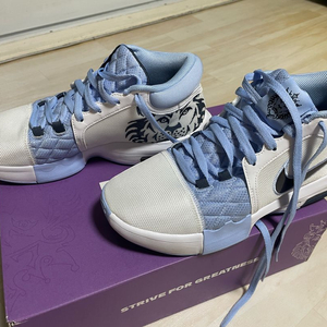 나이키 르브론 위트니스8 농구화 280