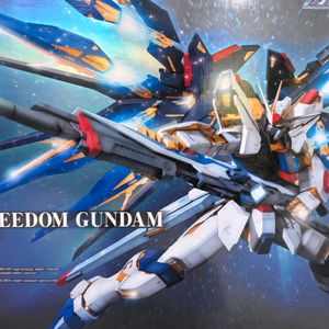 PG스트라이크 프리덤