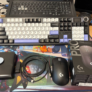 지슈라2c superlight2 c 마우스 팝니다