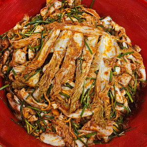 배추김치 .석박지