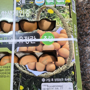 방사 왕 유정란