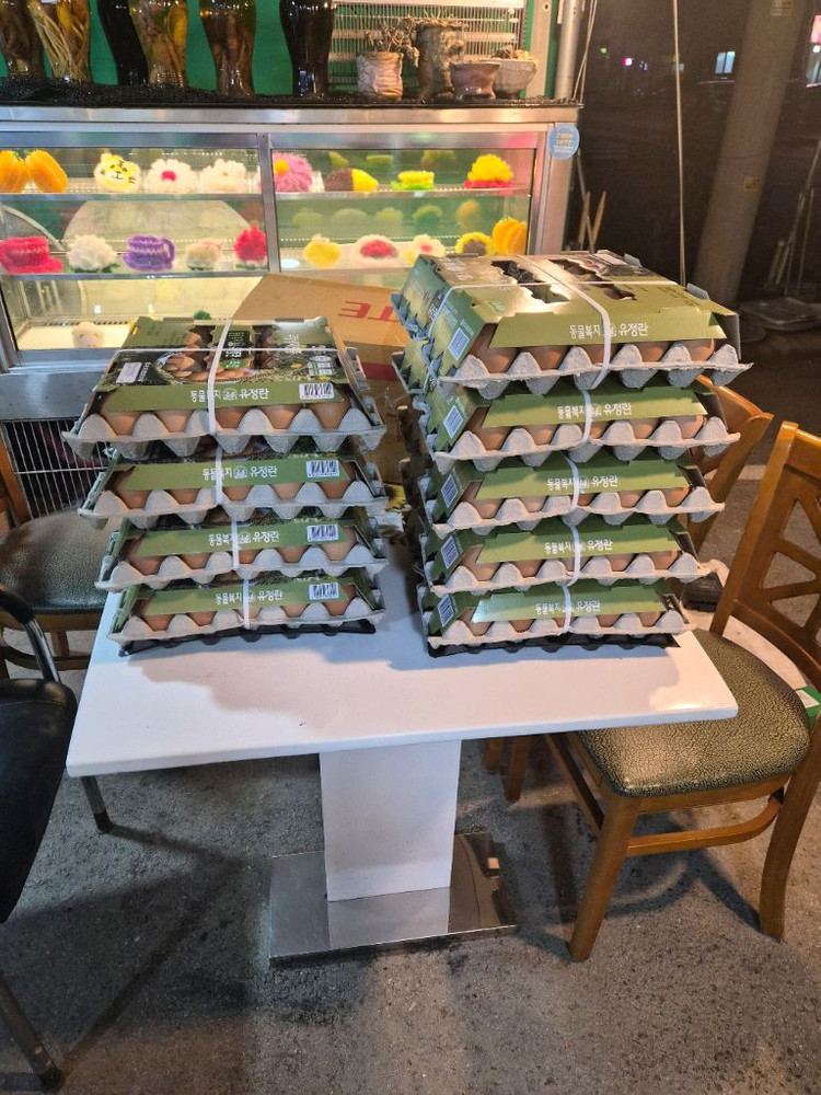 방사 왕 유정란--1