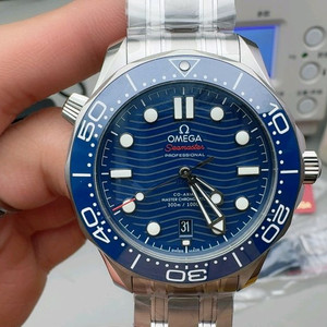 씨마스터300 시계