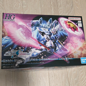 hg 걍 스트롬 아그네스 전용기