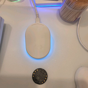 레이저 화이트 충전독 팔아요