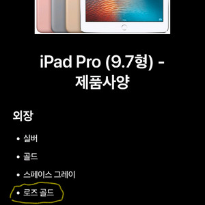 애플 아이패드 9.7