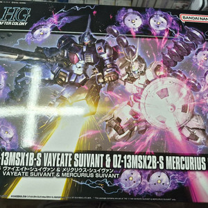 hg 바이에이트 슈이반 미개봉 판매 건프라 건담 프라모델 반다이 프라모델