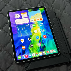 아이패드 프로 11인치 2세대(4세대) 256GB 와이파이 실버 + 케이스 등 47만