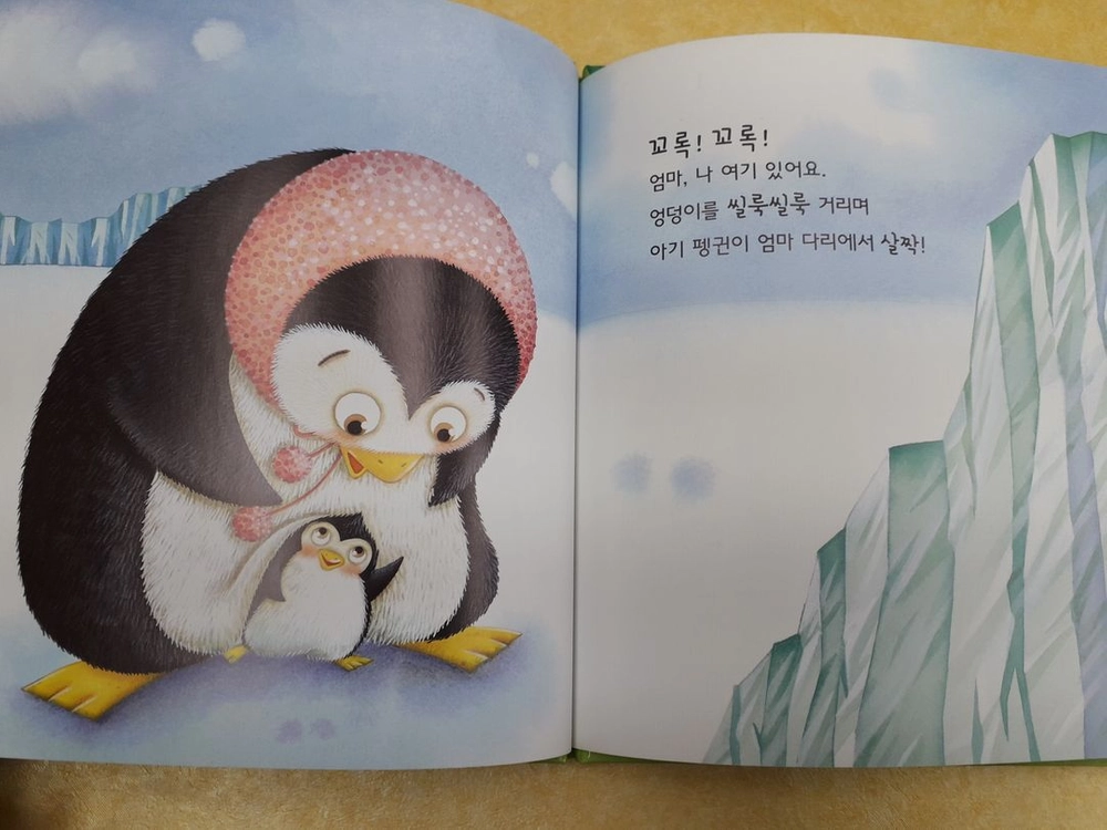 동심 AmMa 오감 책놀이 프로그램 AmMa (양장본) 총 24권 이미지