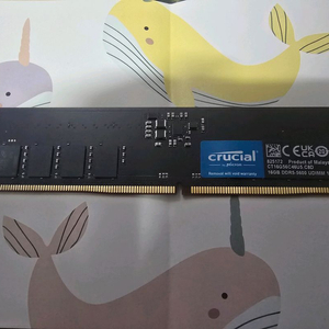 마이크론 ddr5 16gb 5600 램 이미지