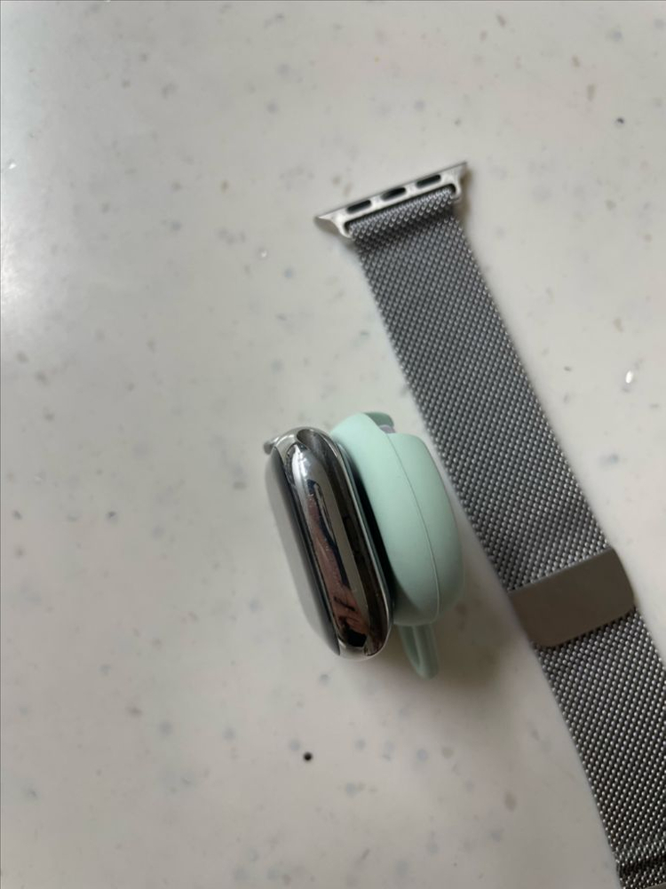 애플워치8스테인리스 41mm 실버--4