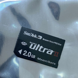 샌디스크 메모리 스틱 PRO DUO 2GB