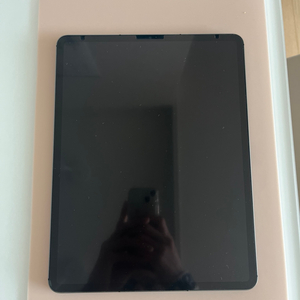 아이패드 5세대 256GB 12.9인치 셀룰러 + 애플펜슬2