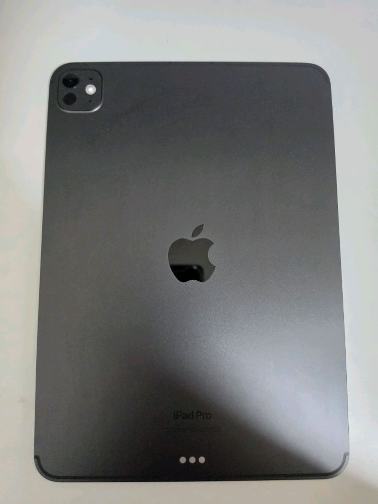 아이패드 프로 11 M4 256GB 셀롤러 팝니다 이미지