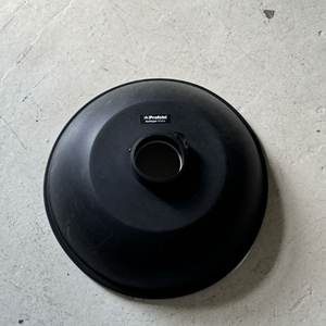 프로포토 소프트라이트 뷰티디쉬 화이트