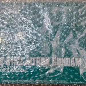 반다이 HG 1/144 알트론 건담