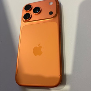 아이폰17프로 256기가 자급제