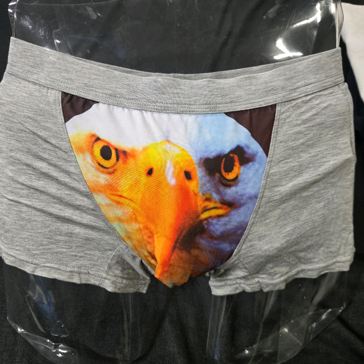 남자팬티(5개)100L--1