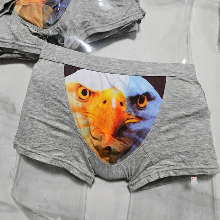 남자팬티(5개)100L--5