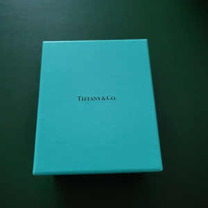 티파니 목걸이 케이스 이미지
