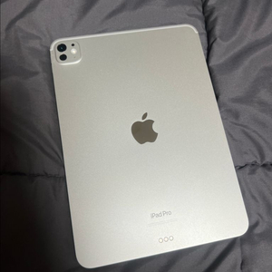 아이패드 프로 11 M4 1TB WIFI