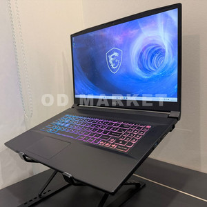 MSI 게이밍 노트북(RTX4060,32g/1T,13세대)