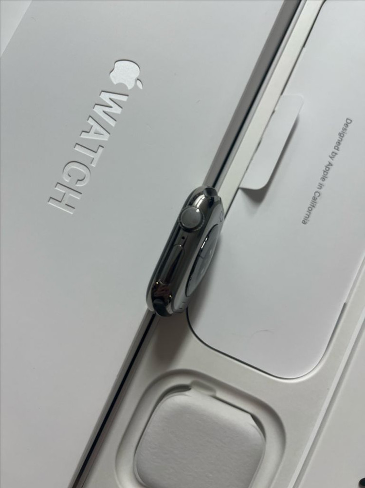 애플워치10티타늄 42mm 내추럴 SSS급--2