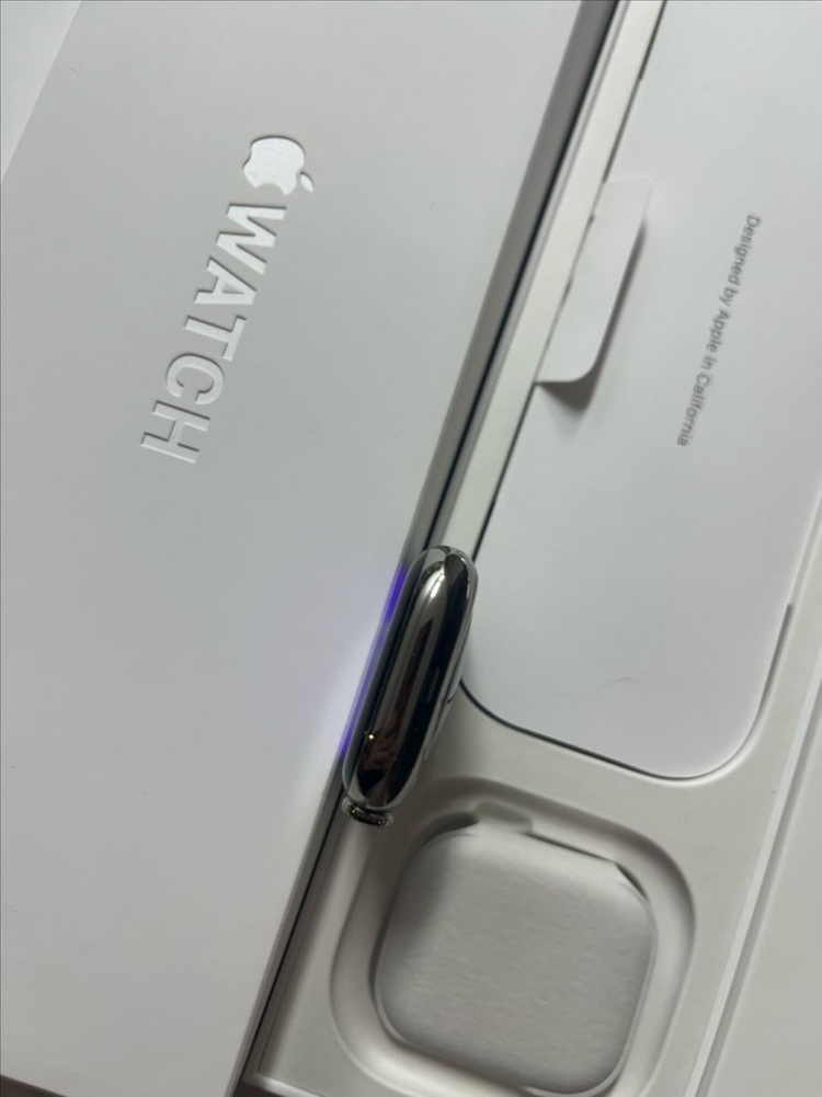 애플워치10티타늄 42mm 내추럴 SSS급--3