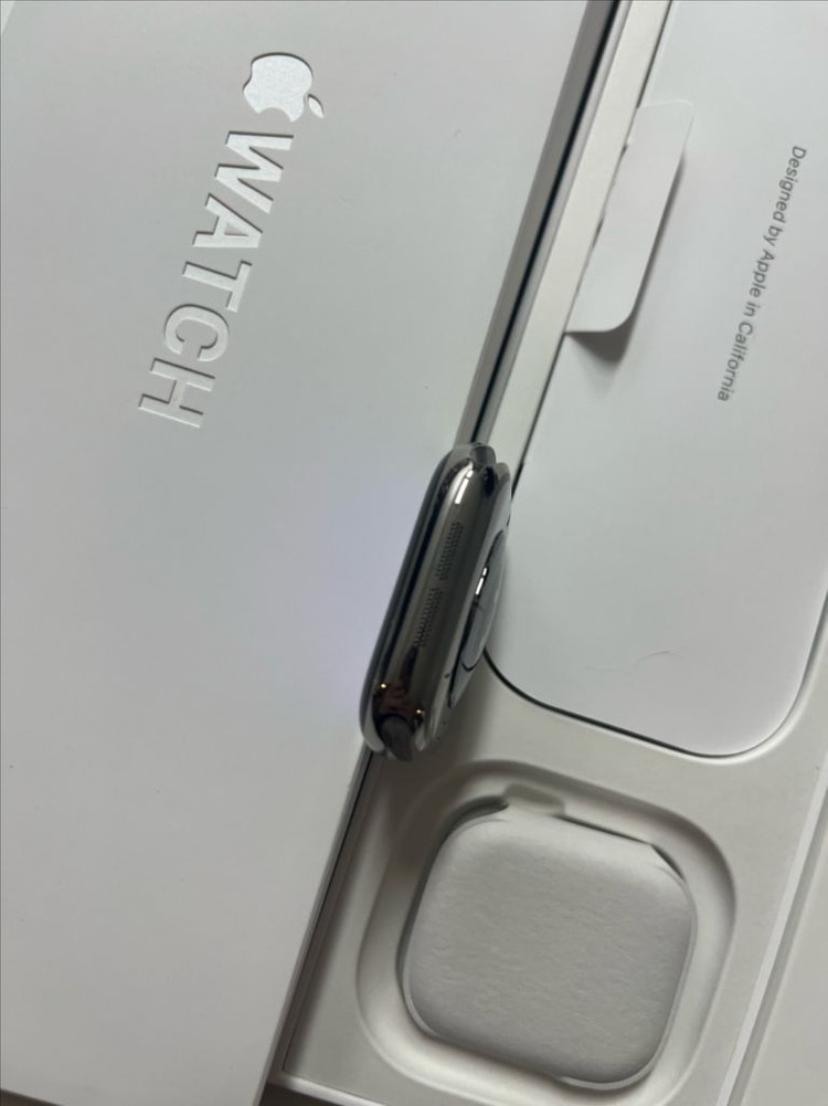 애플워치10티타늄 42mm 내추럴 SSS급--4