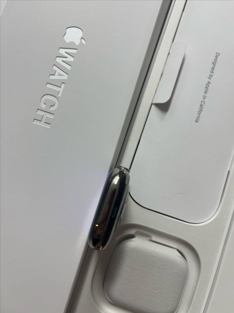 애플워치10티타늄 42mm 내추럴 SSS급--5