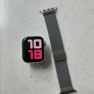 애플워치8스테인리스 41mm 실버