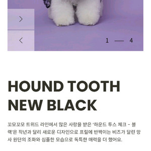 강아지하네스 이미지