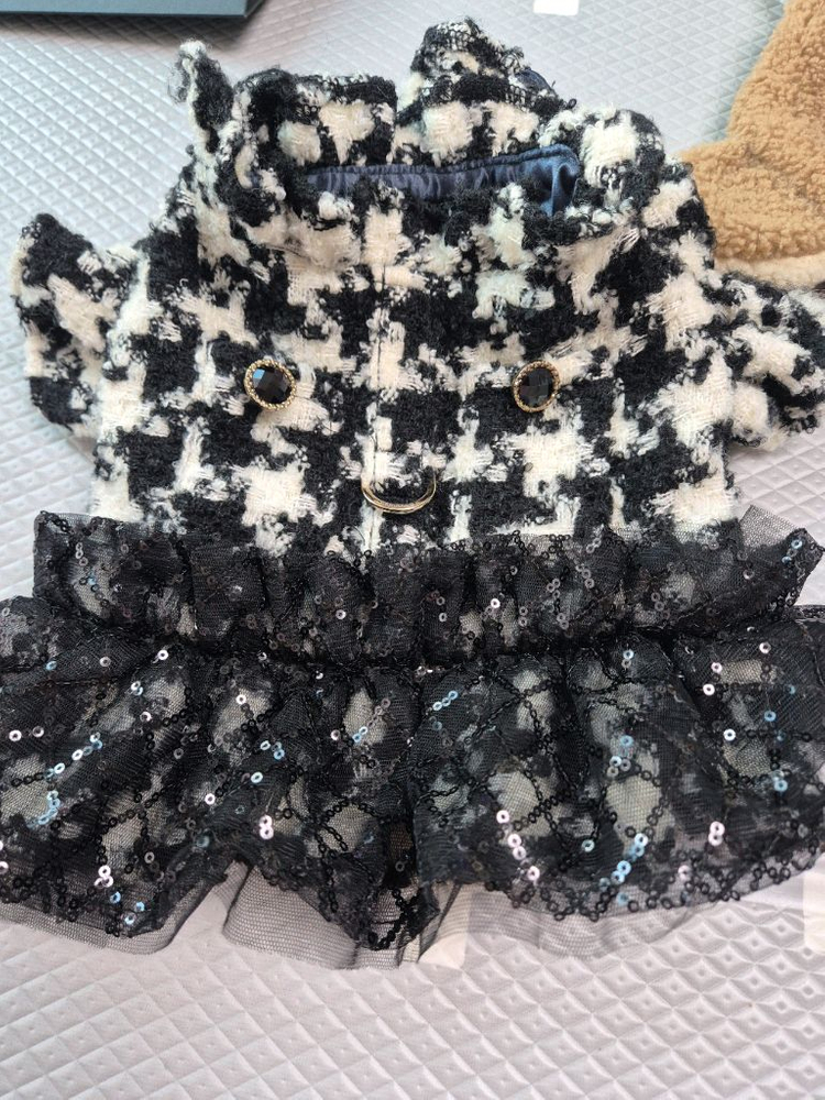 강아지하네스 이미지