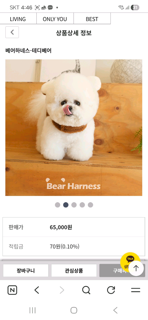 강아지하네스 이미지