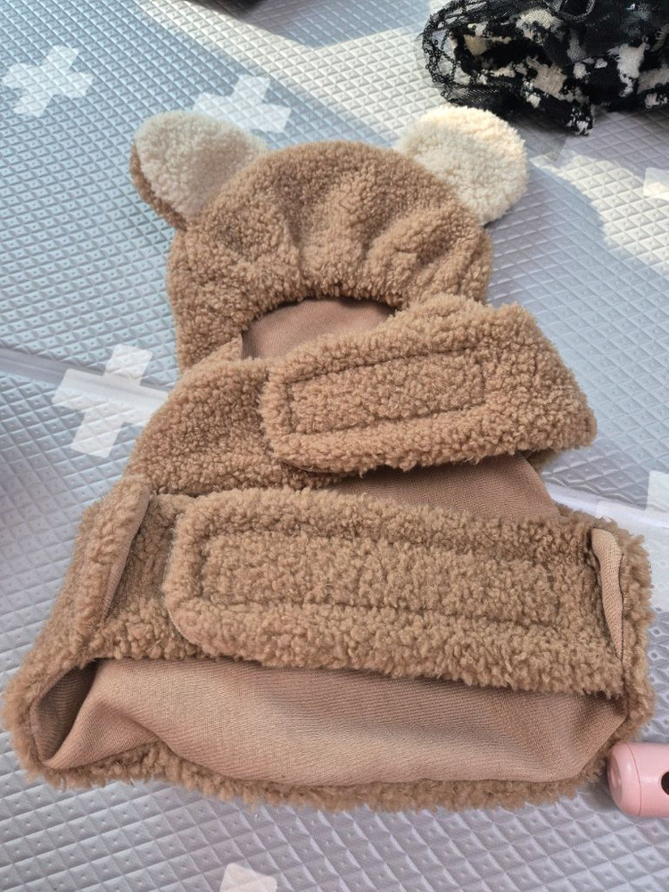 강아지하네스 이미지