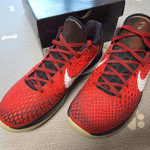 나이키 코비6 올스타 285