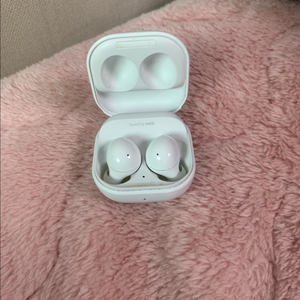 갤럭시 버즈 2 이미지