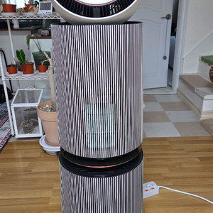 LG 퓨리케어 오브제컬렉션 듀얼 공기청정기 AS352NSHA
