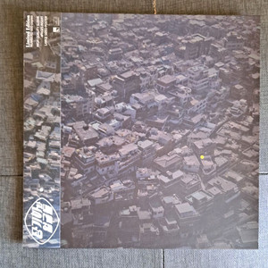 장기하와 얼굴들 1집 lp