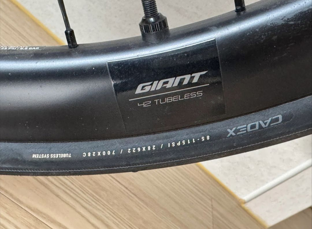 자이언트 TCR PRO 0 로드 자전거 이미지