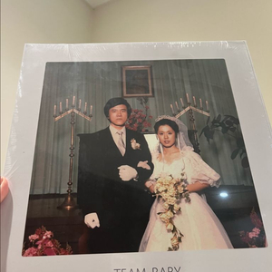 검정치마 Team baby LP 미개봉 판매 이미지
