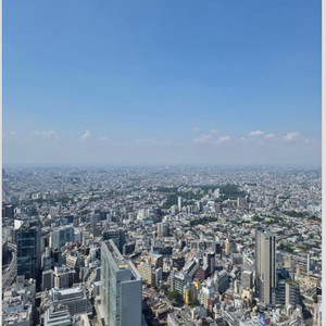 (삽니다) 3월 13일 시부야 스카이 이미지