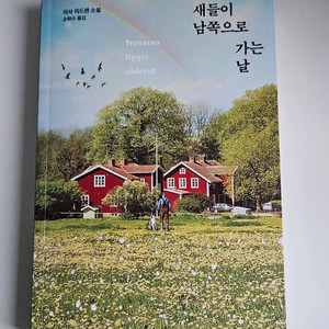 새들이 남쪽으로 가는 날/ 최상