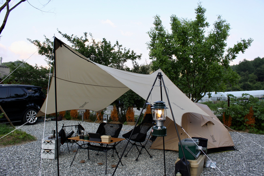 dod 디오디 가마보코 이츠카 itsuka 타프 탄 색상 판매합니다.--1