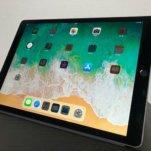 아이패드 프로 12.9 2세대 64gb 셀룰러 ios11